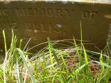 image of grave number 170566